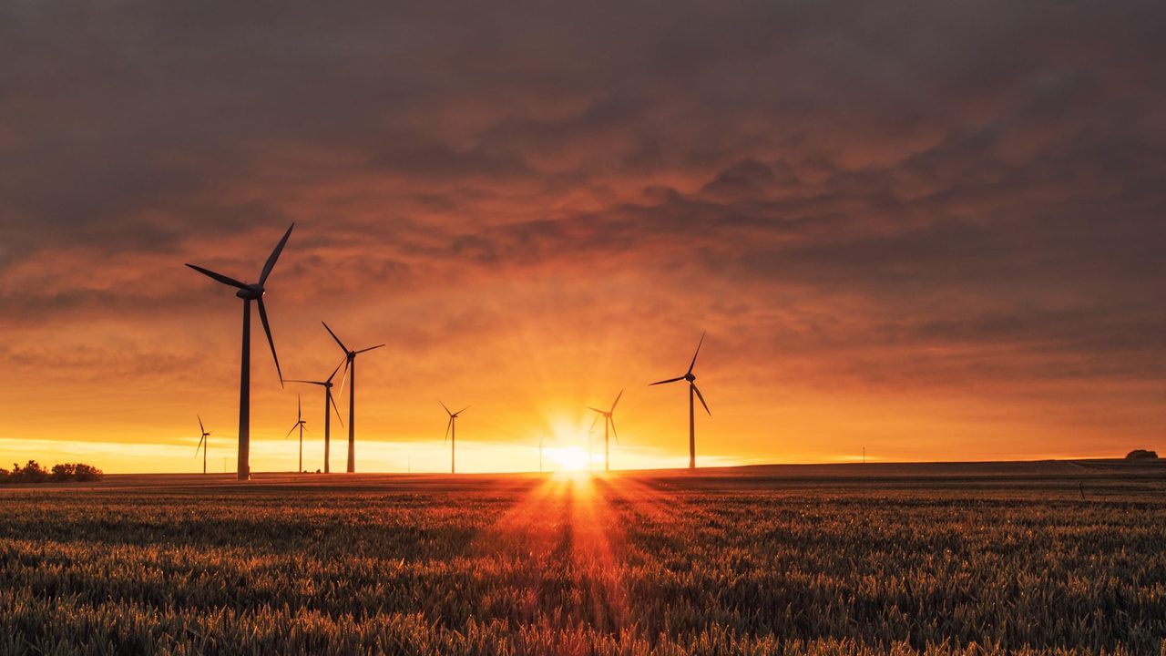 Wind turbines across a field at sunset